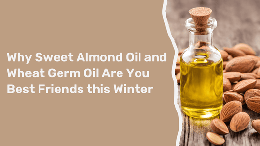 Winter Skin Care Essentials: Why Sweet Almond Oil and Wheat Germ Oil Are Your Best Friends - Zeba Absolute Oil